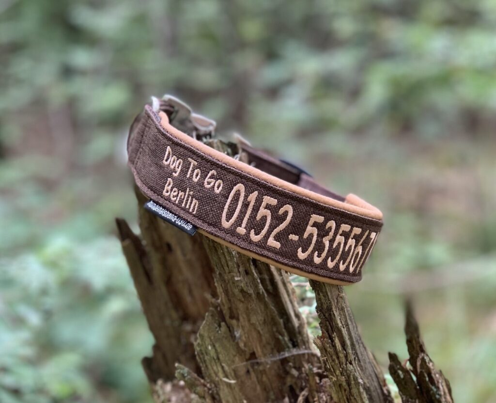 Dogwalker - Sicherheit 
ein Halsband mit Telefonnummer für die Hunde.