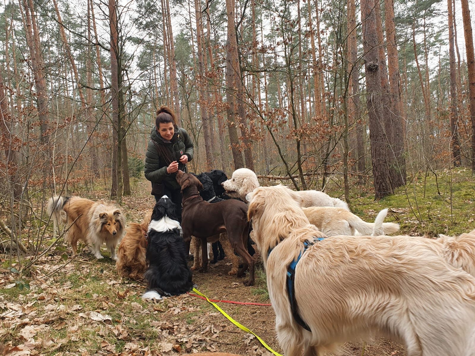 Gassiservice die Gruppe mit ihrem Dogwalker Stephanie Petter